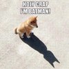 H C.